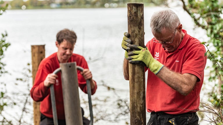 Two Rangers are photographed building a new fence on the Saltram Estate